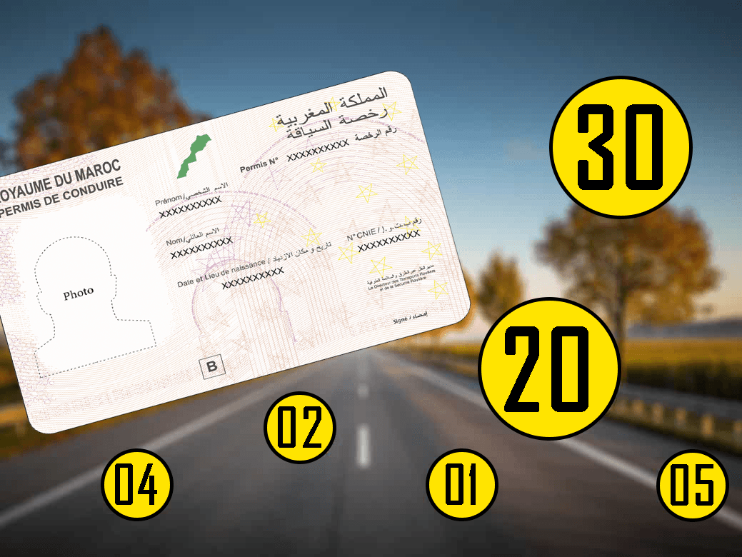 Permis conduire a point