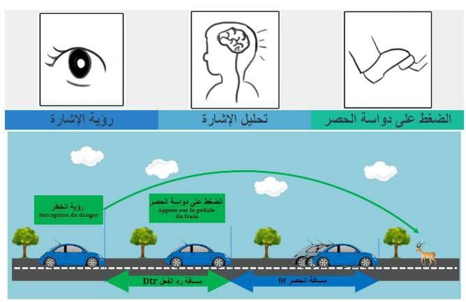 مسافة الأمان ومسافة الحصر و مسافة الوقوف.pdf Adobe Rea