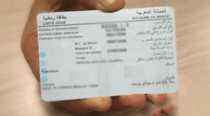 البطاقة الرمادية في المغرب 2026